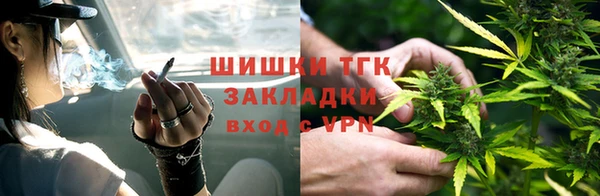 индика Мегион
