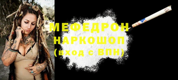 индика Мегион