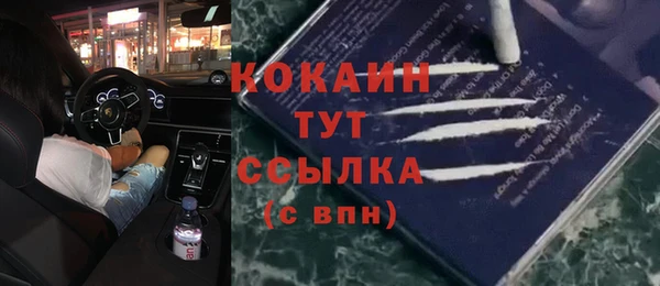 индика Мегион