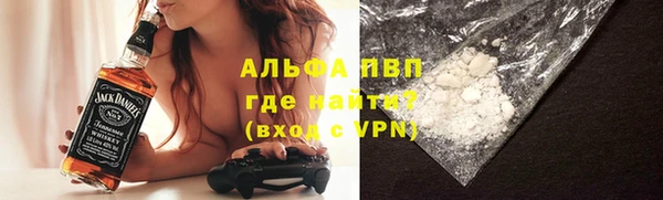 индика Мегион