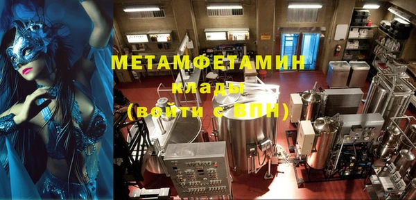 индика Мегион