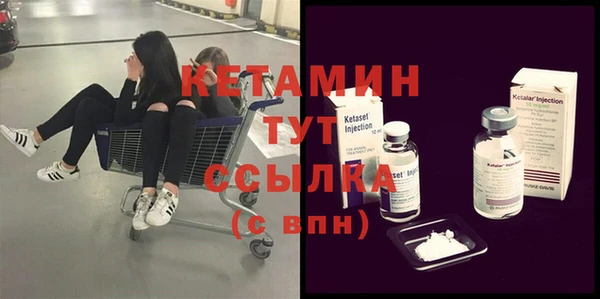 индика Мегион