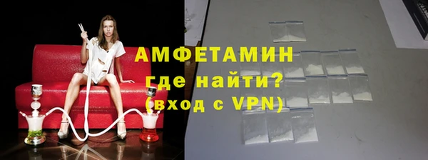 индика Мегион