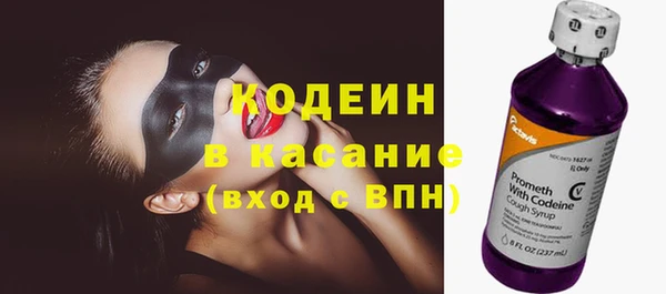 индика Мегион
