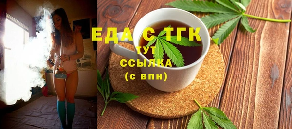 индика Мегион