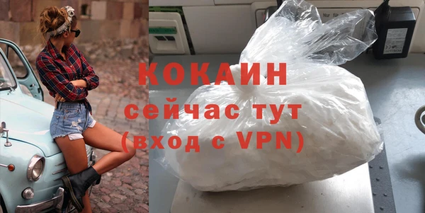 индика Мегион