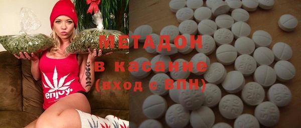 индика Мегион