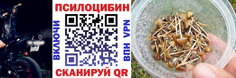 Купить  Нахабино  Псилоцибиновые грибы GOLDEN TEACHER 