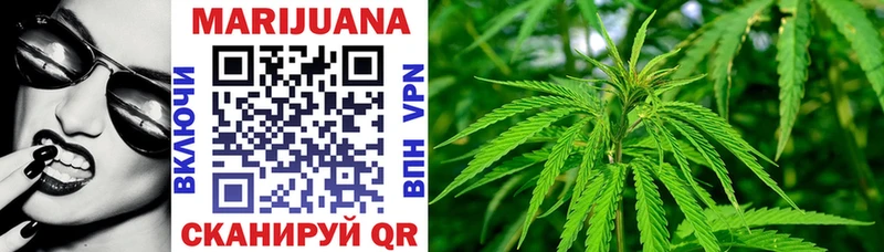 Купить где Нахабино Шишки марихуана OG Kush